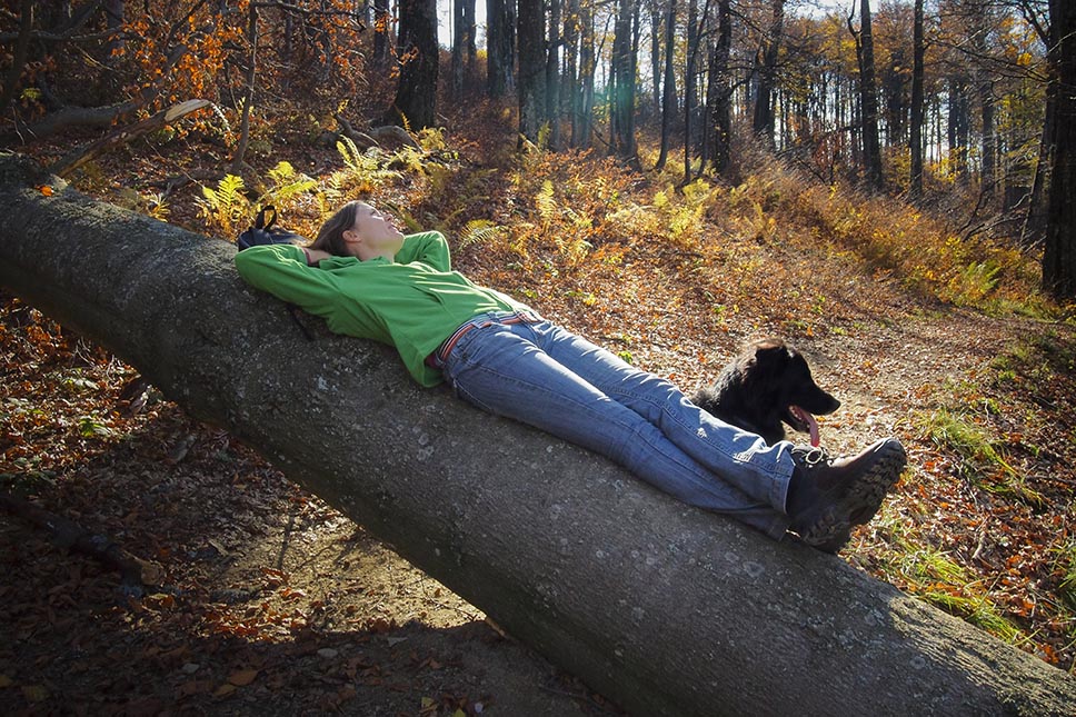 Photo of Fall wellness