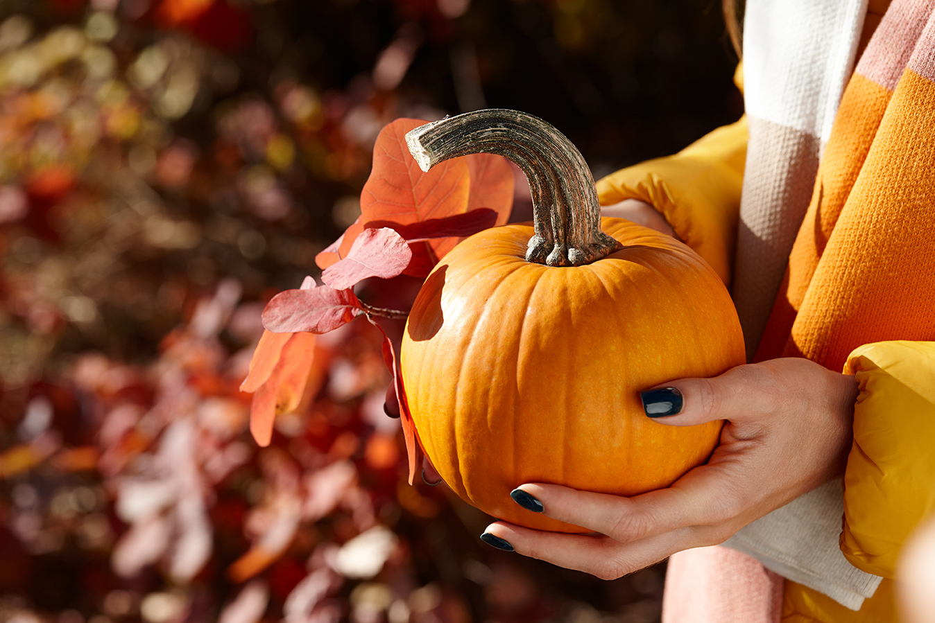 Photo of Fall wellness