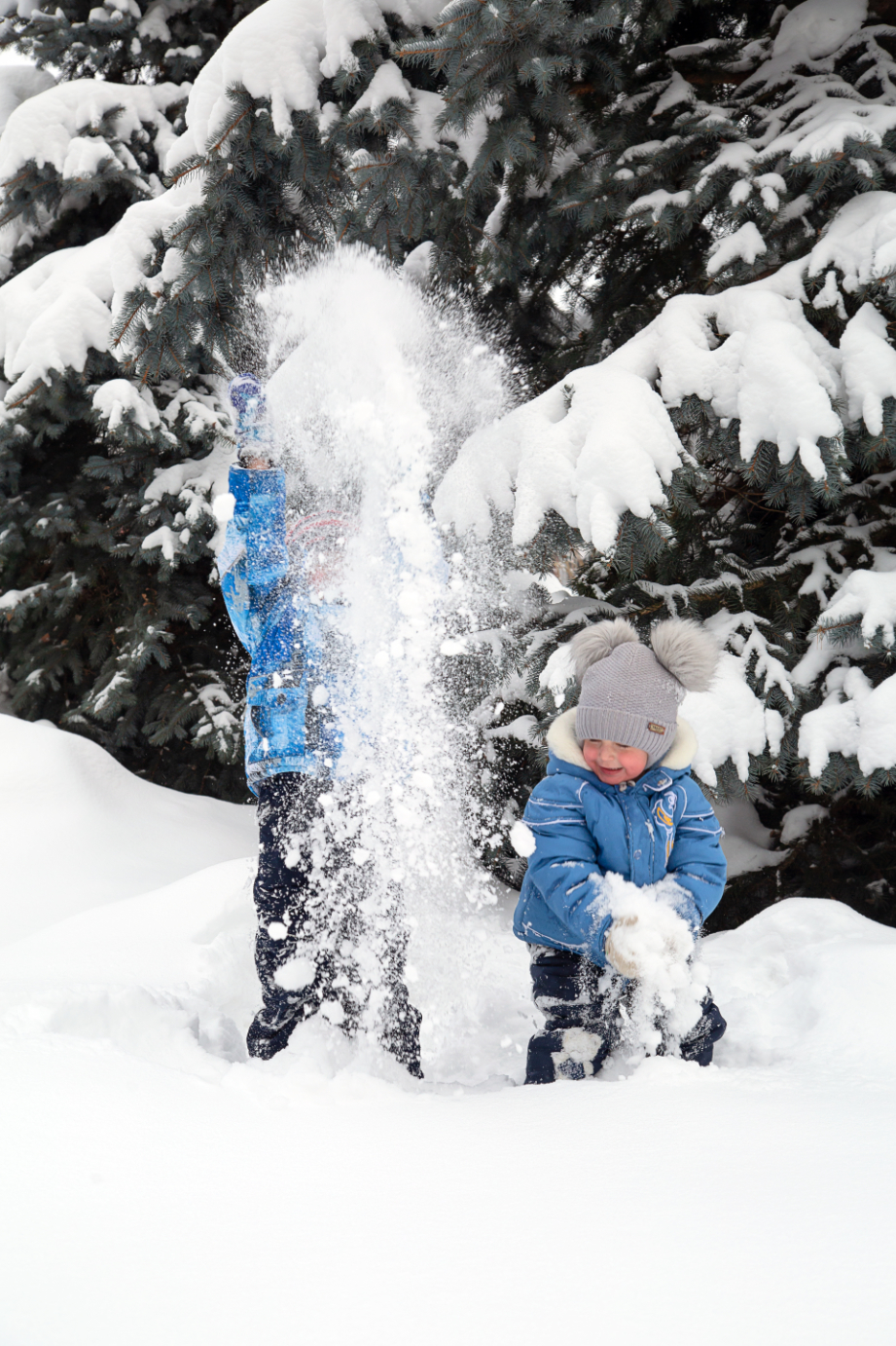 Children play in the snow against the background of snow-covered fir trees Children play in the snow photo