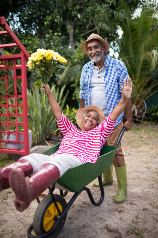 Senior man carrying woman in wheelbarrow while gardening at yard mature couple enjoying life photo