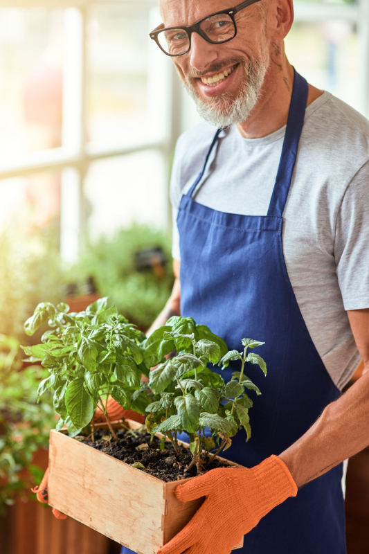 Happy middle aged caucasian man holding box with herbs photo of Happy middle aged an holding box with herbs